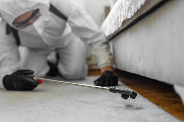 Professional Pest Control technician working in Fletcher, OK