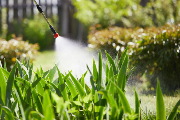 24/7 Emergency Pest Control experts in Fletcher, OK