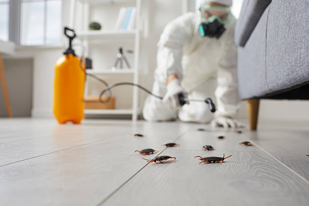 Affordable Pest Control solutions in Fletcher, OK